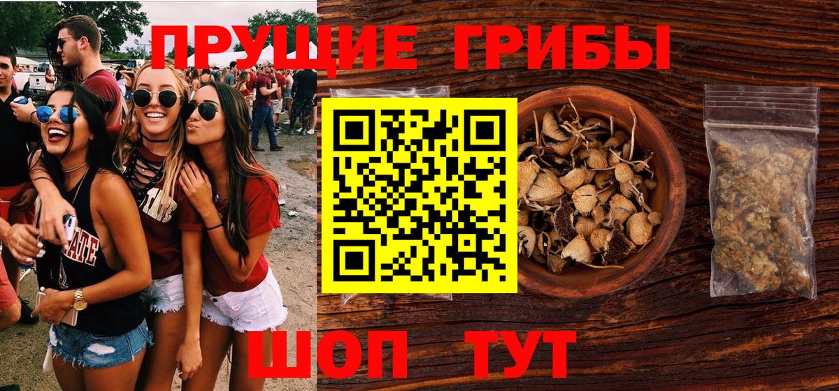 Псилоцибиновые грибы GOLDEN TEACHER Минусинск