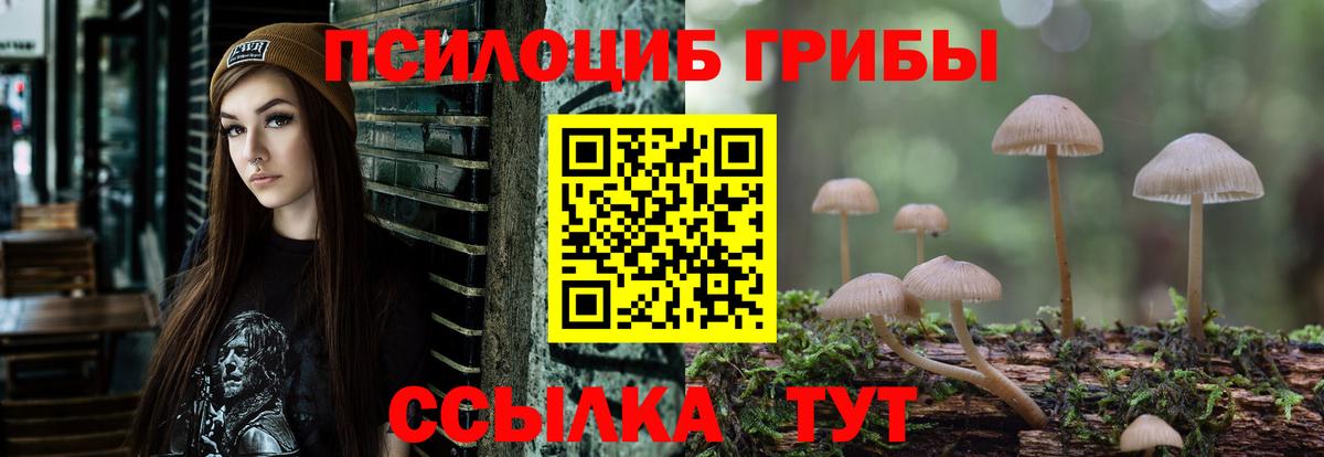 Псилоцибиновые грибы ЛСД  Галлюциногенные грибы ЛСД  Минусинск  Вход с VPN 