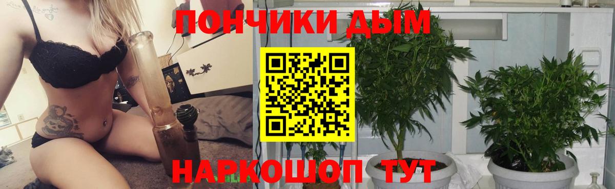 Конопля семена  Марихуана тримм  Вход с VPN  Минусинск 